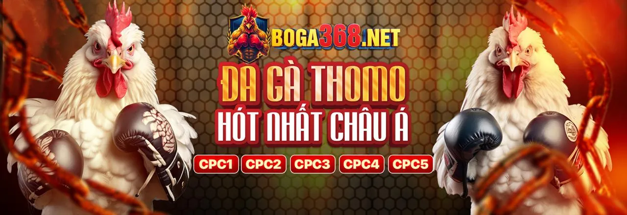 Hình ảnh tổng quan về trải nghiệm trò chơi KM1888B